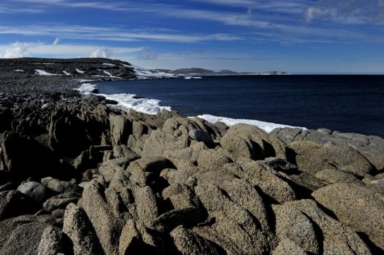 羅斯海恩克斯堡島的夏季風光。新華社記者 張建松 攝