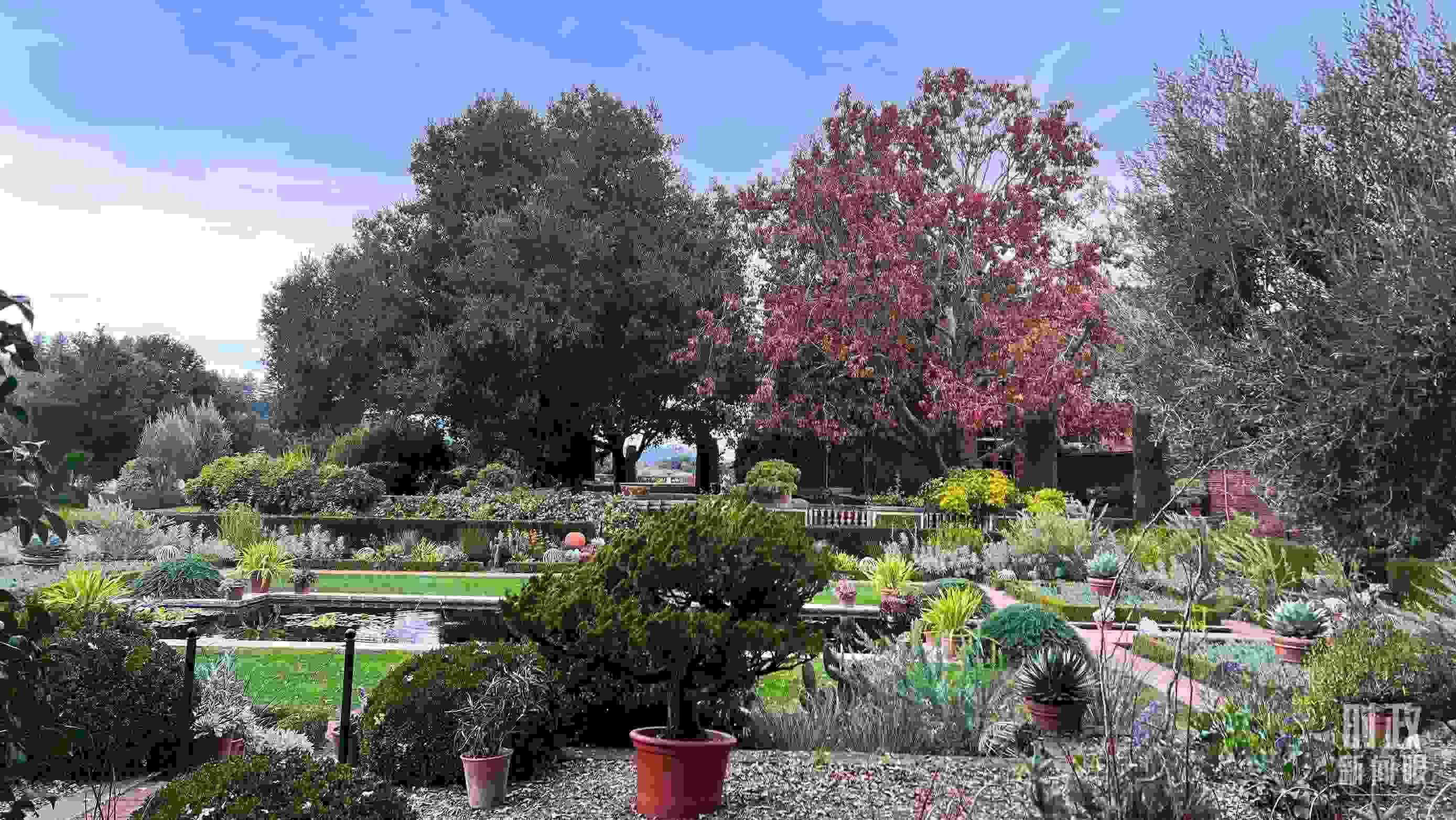 斐洛里莊園被稱作美國20世紀現(xiàn)存最精美鄉(xiāng)村莊園之一。（總臺央視記者程鋮拍攝）