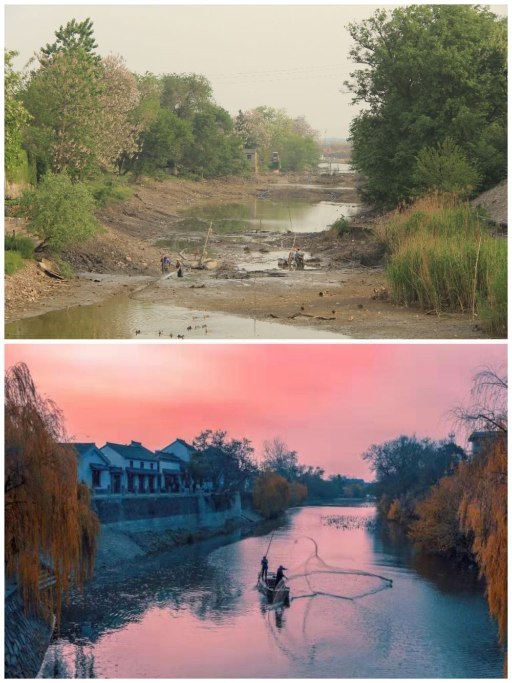 江蘇省揚(yáng)州市江都區(qū)明清運(yùn)河故道整治前后。（上圖：2012年；下圖：2020年）（孫友定 攝）