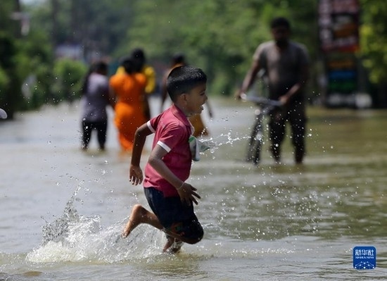 11月24日，一名男孩在斯里蘭卡加姆珀哈涉水出行。新華社發(fā)（阿吉特·佩雷拉攝）