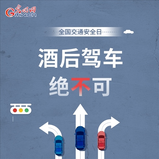 全國交通安全日：8個(gè)“不”請記牢 安全出行有保證