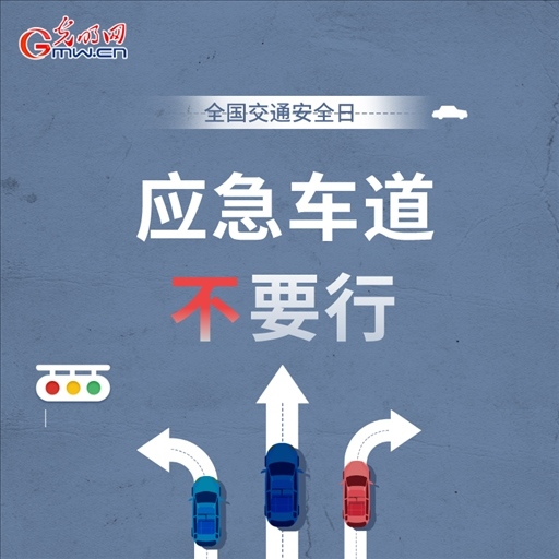 全國交通安全日：8個(gè)“不”請記牢 安全出行有保證