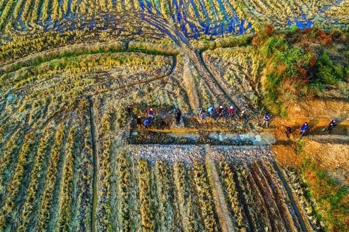 良渚遺址考古發(fā)掘現(xiàn)場。