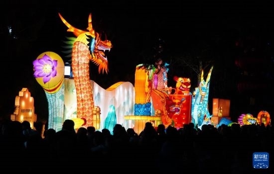 2月11日晚，人們在濟南市趵突泉公園觀賞花燈。