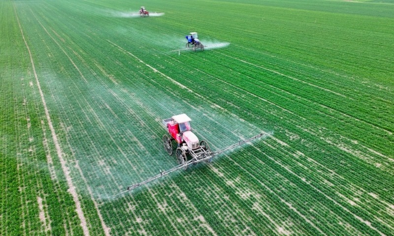 2024年2月18日，安徽省亳州市，利辛縣紀王場鄉(xiāng)孫老家村麥田，農(nóng)民駕駛自走式高桿噴霧機對小麥進行噴藥作業(yè)。