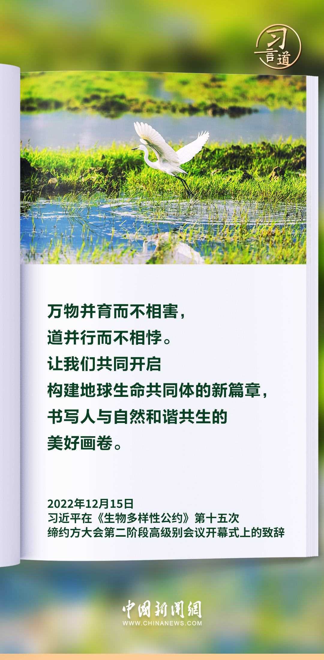 【和諧共生】習言道｜生態(tài)興則文明興