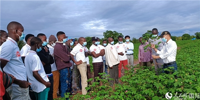 項目組長首小勇向當?shù)孛揶r做技術講解。人民網記者 黃培昭攝
