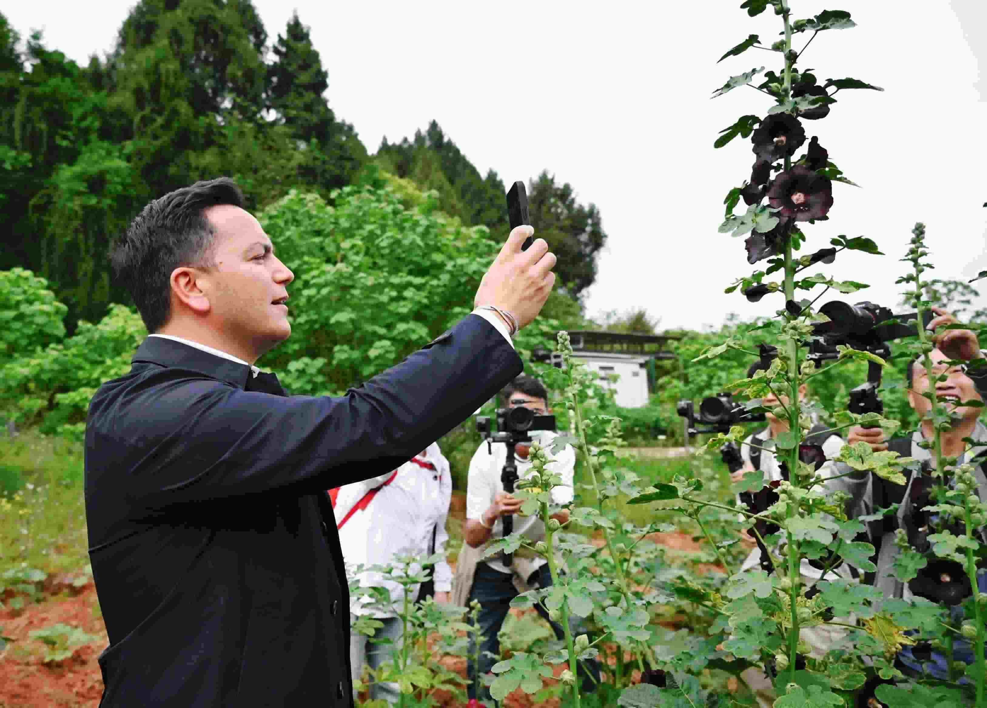  △2024年4月23日，國際園藝生產(chǎn)者協(xié)會主席萊昂納多·卡皮塔尼奧在成都市金堂縣鮮花山谷景區(qū)考察蜀葵產(chǎn)業(yè)。
