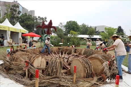 坎波·馬特活動(dòng)現(xiàn)場(chǎng)。埃內(nèi)斯托·多明戈斯攝