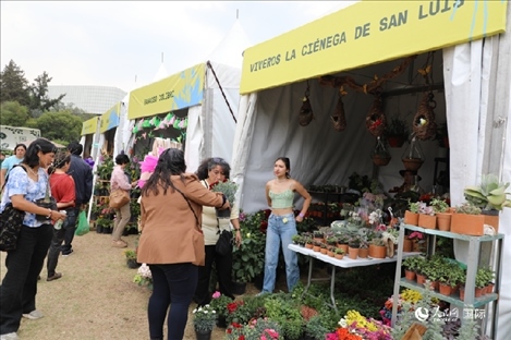 坎波·馬特活動(dòng)現(xiàn)場(chǎng)。埃內(nèi)斯托·多明戈斯攝