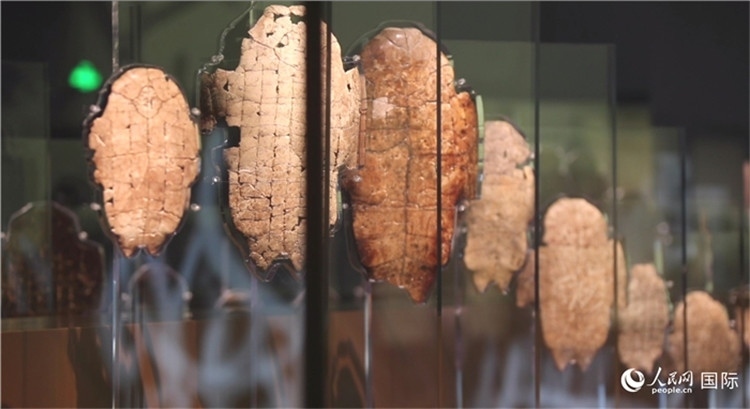 殷墟博物館新館的甲骨展品。人民網(wǎng)記者 劉寧攝