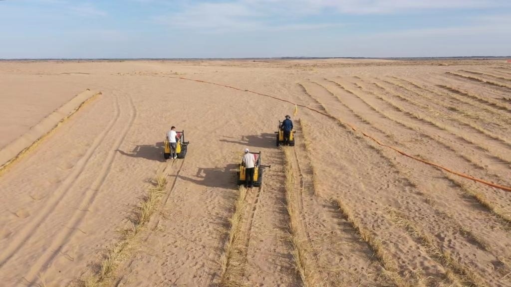 內蒙古巴彥淖爾市烏拉特后旗西補隆林業(yè)管護中心職工駕駛機械鋪設壓沙障。新華社記者 李云平 攝