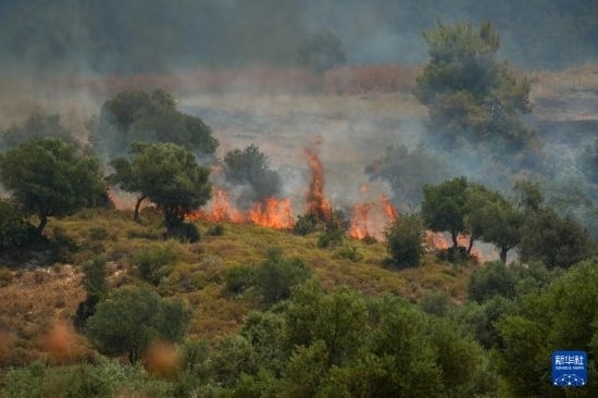 6月12日，以色列北部加利利地區(qū)遭受火箭彈襲擊后冒出滾滾濃煙。新華社發(fā)（阿亞爾·馬戈林?jǐn)z/基尼圖片社）