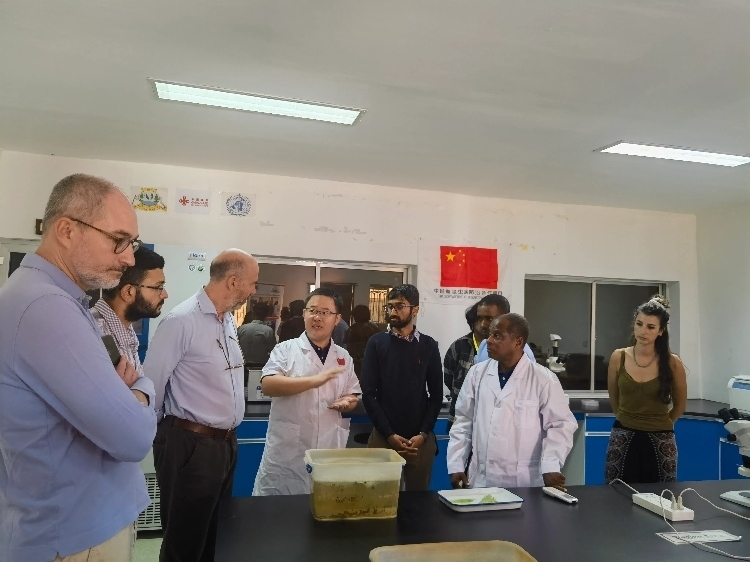 活動現(xiàn)場。專家組供圖