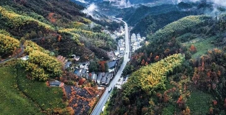 如今的210省道(原20省道)浦江段 圖源:浦江發(fā)布