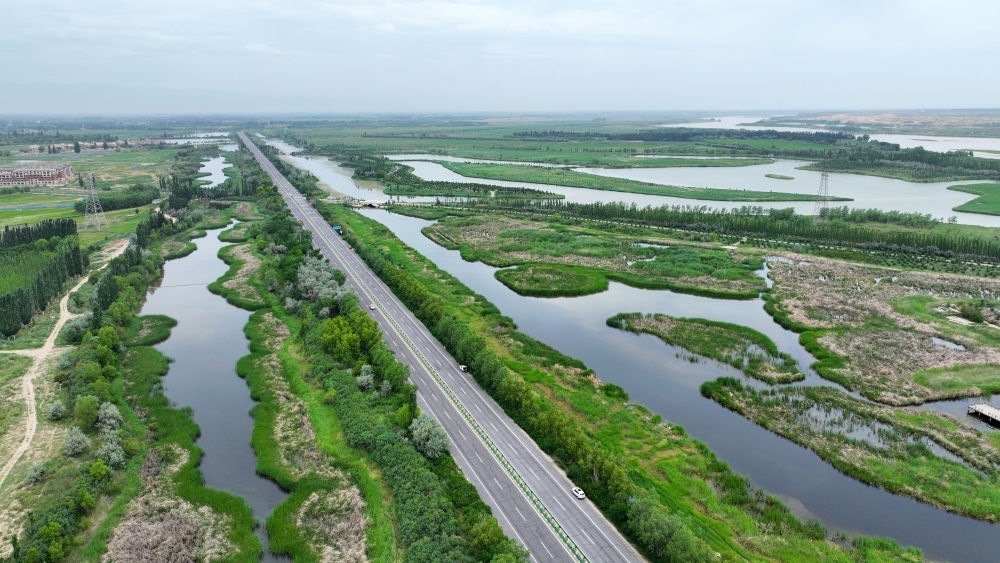 這是2024年6月13日拍攝的黃河寧夏段濱河大道（無人機(jī)照片）。近年來，寧夏努力建設(shè)黃河流域生態(tài)保護(hù)和高質(zhì)量發(fā)展先行區(qū)，全力打好黃河保護(hù)持久戰(zhàn)。新華社記者 王鵬 攝