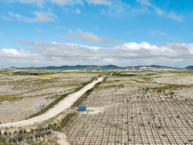 剛剛竣工的其白線穿沙公路。