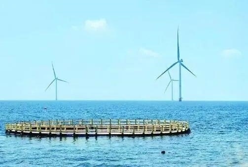 △山東萊州風(fēng)電項(xiàng)目實(shí)現(xiàn)了海上風(fēng)電和海洋牧場融合發(fā)展。