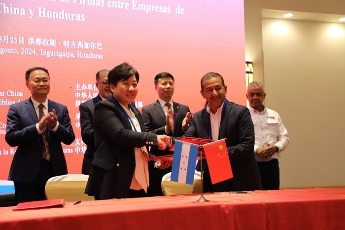 活動(dòng)現(xiàn)場。埃內(nèi)斯托·多明戈斯攝