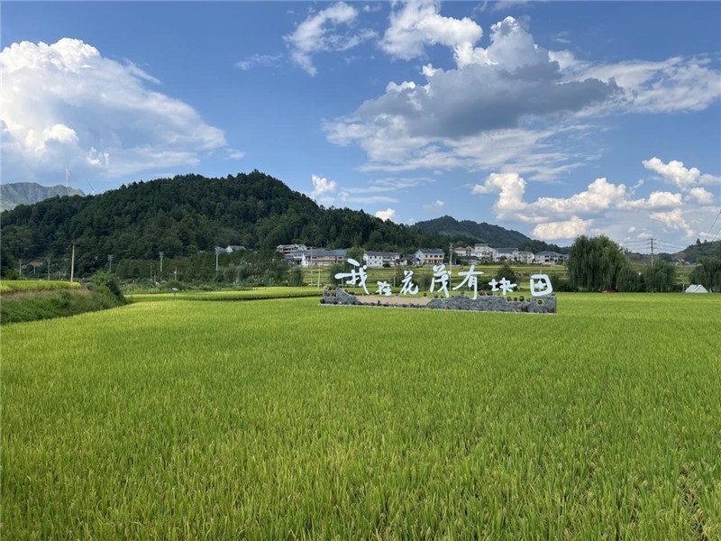 青瓦白磚的黔北民居、風(fēng)中搖曳的稻田、抬手可觸的大片云朵……才剛下車(chē)，格魯吉亞“經(jīng)濟(jì)中心網(wǎng)”總編輯莉安娜·喬爾喬利亞尼就被眼前的景色拖住了步履，喃喃細(xì)語(yǔ)：“實(shí)在太美了，讓我內(nèi)心平靜，在這里生活一定非常安逸和幸福?！保ㄇ褫x攝）