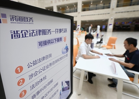 在天津?yàn)I海新區(qū)政務(wù)服務(wù)中心，工作人員在“涉企法律服務(wù)一件事”專區(qū)為市民提供服務(wù)（2024年7月31日攝）。新華社記者 趙子碩 攝