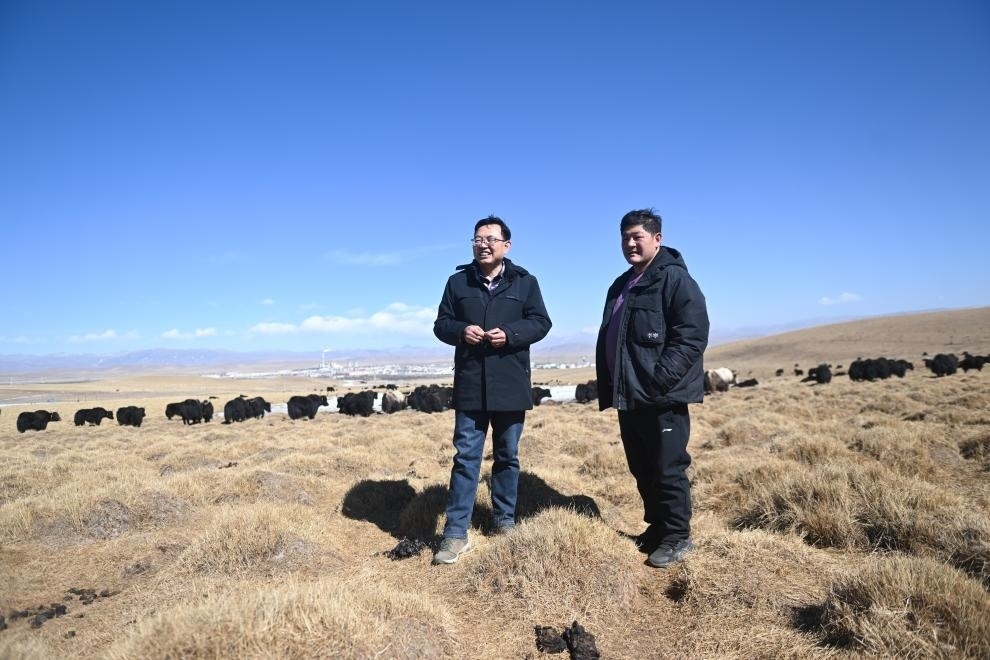 2023年2月24日，在青海省海北藏族自治州海晏縣青海湖鄉(xiāng)達(dá)玉日秀村，全國人大代表董全民（左）查看牧民東知布家的草場。新華社記者 張龍 攝