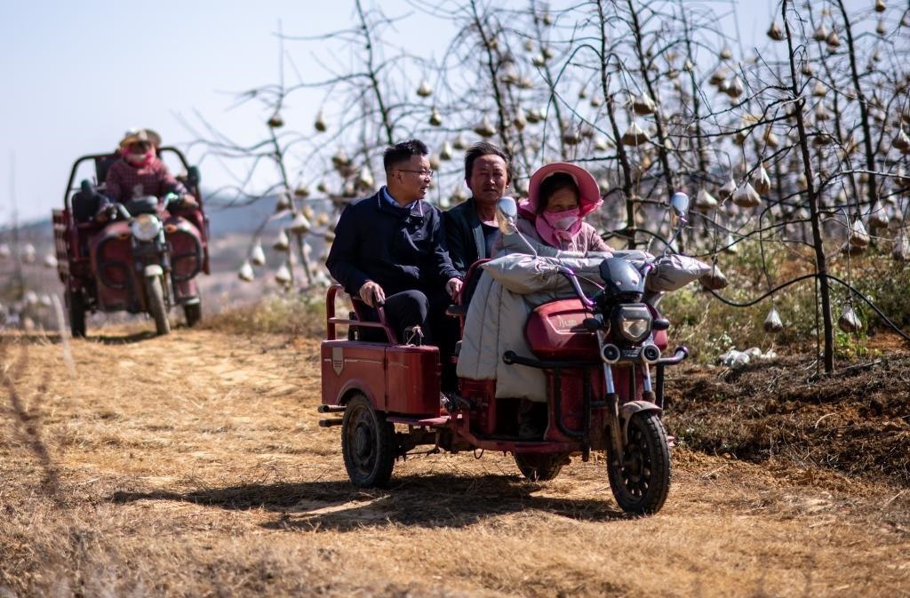 全國人大代表袁海波（右三）在云南省曲靖市馬龍區(qū)一種植基地了解務(wù)工人員就業(yè)需求（2023年2月11日攝）。新華社記者 江文耀 攝