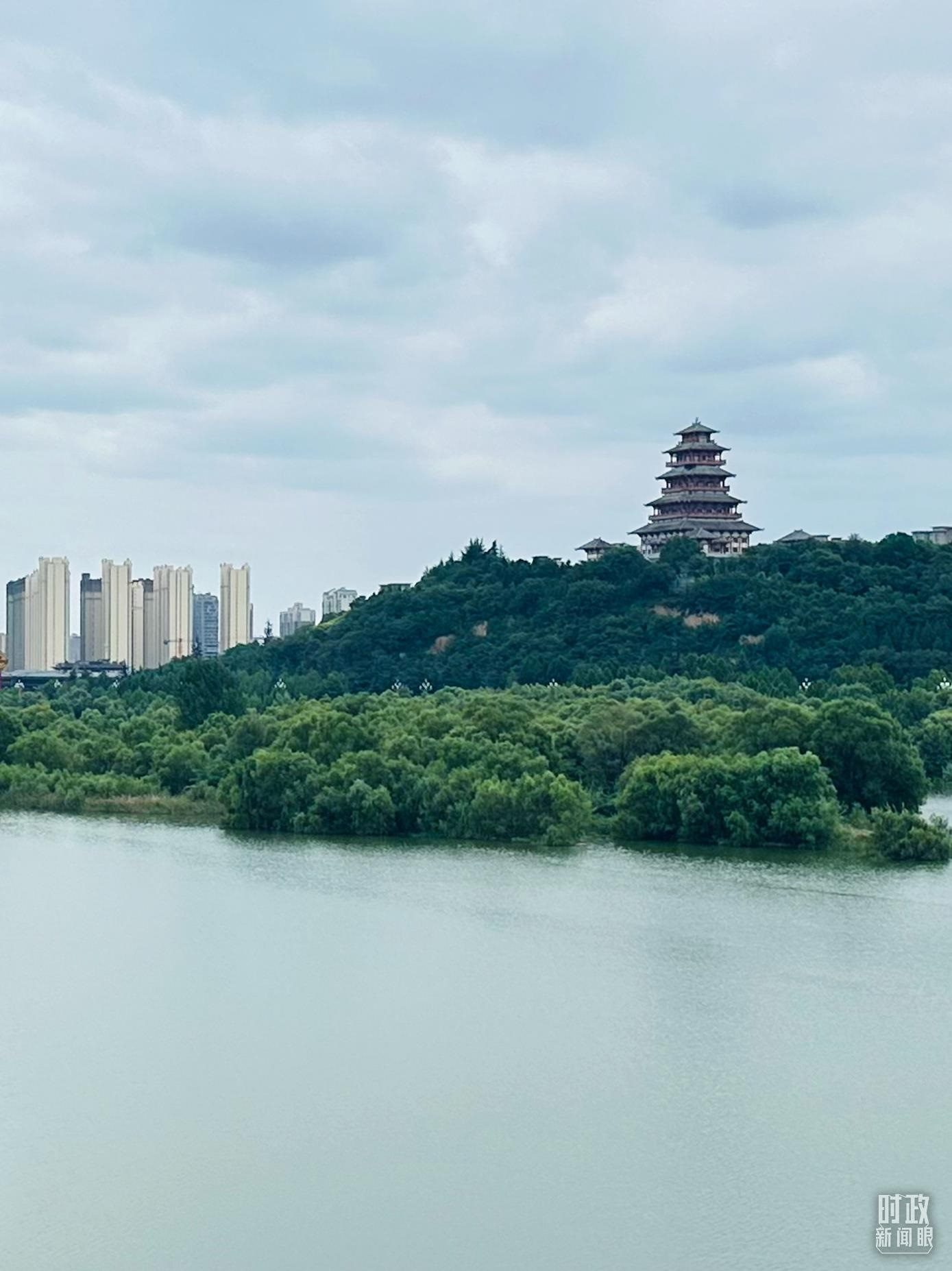 △渭河寶雞段長224公里，目前建成17處渭河灘區(qū)生態(tài)涵養(yǎng)區(qū)。（總臺央視記者范一鳴拍攝）