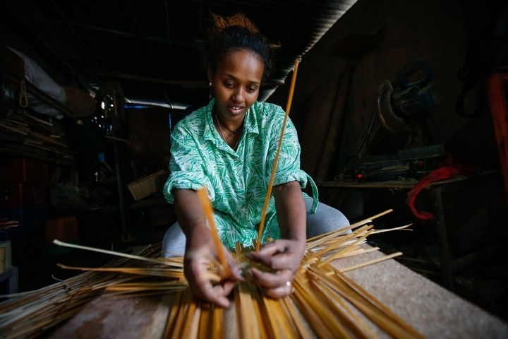 2024年8月10日，菲基爾特·加布雷在埃塞俄比亞首都亞的斯亞貝巴名為“綠色金子”的竹藤工作室里加工竹制產(chǎn)品。新華社發(fā)（邁克爾·特韋爾德 攝）