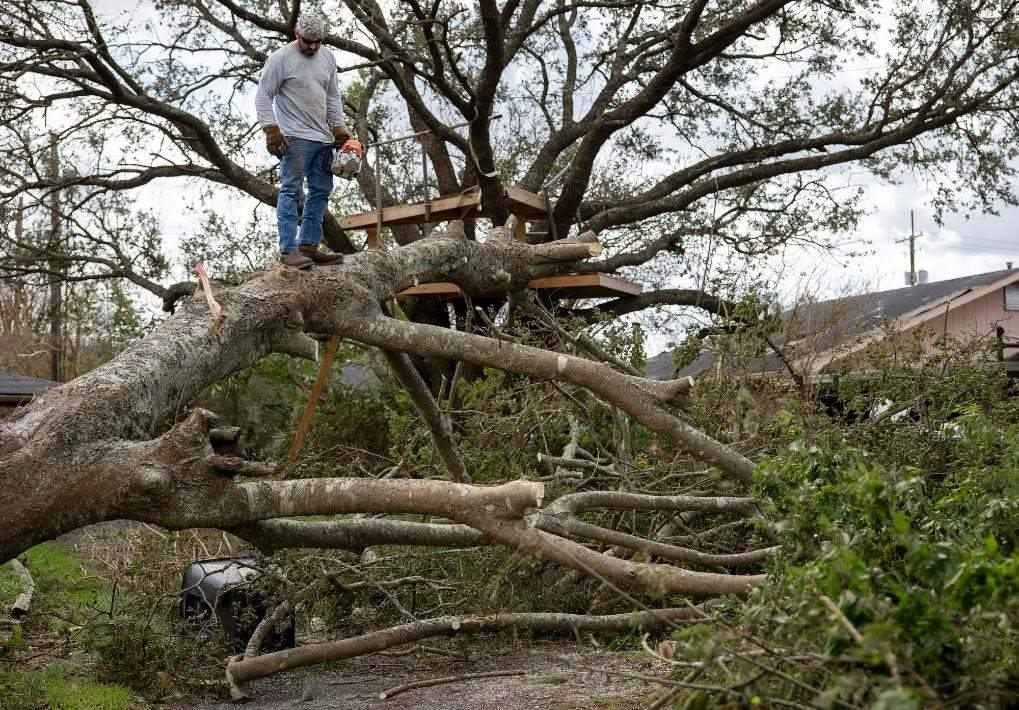 2021年8月30日，在美國路易斯安那州霍馬，一名男子站在被颶風(fēng)吹倒的大樹上。新華社發(fā)（尼克·瓦格納 攝）