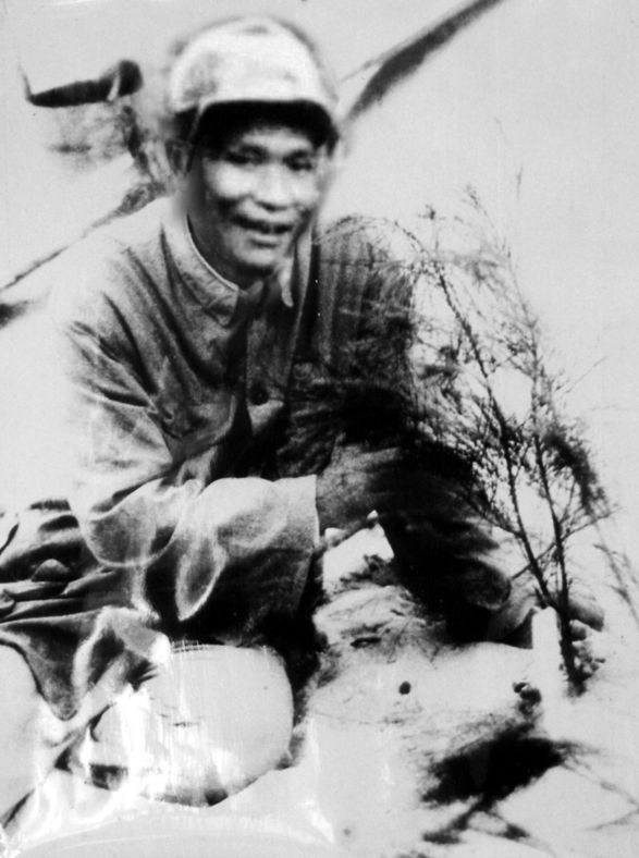 谷文昌與試種成活的木麻黃（資料照片）。為了治沙，谷文昌爬遍了東山縣400多個山頭，踏遍了30多公里的沙灘，終于帶領(lǐng)東山人民試種木麻黃成功。