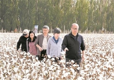 李召虎團(tuán)隊成員在棉田了解試驗情況。 受訪單位供圖
