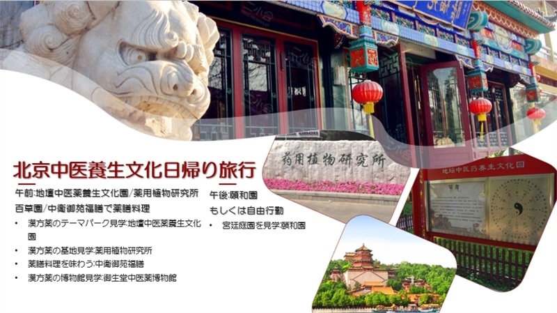 “你好！中國·休閑旅游—中國旅游說明會”宣講材料。中國駐東京旅游辦事處供圖