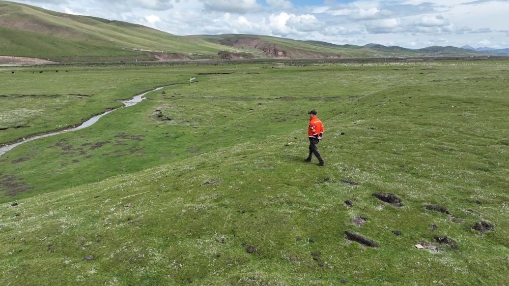 9月24日，生態(tài)管護(hù)員那瓦才郎在草場(chǎng)上巡護(hù)。（受訪者供圖）