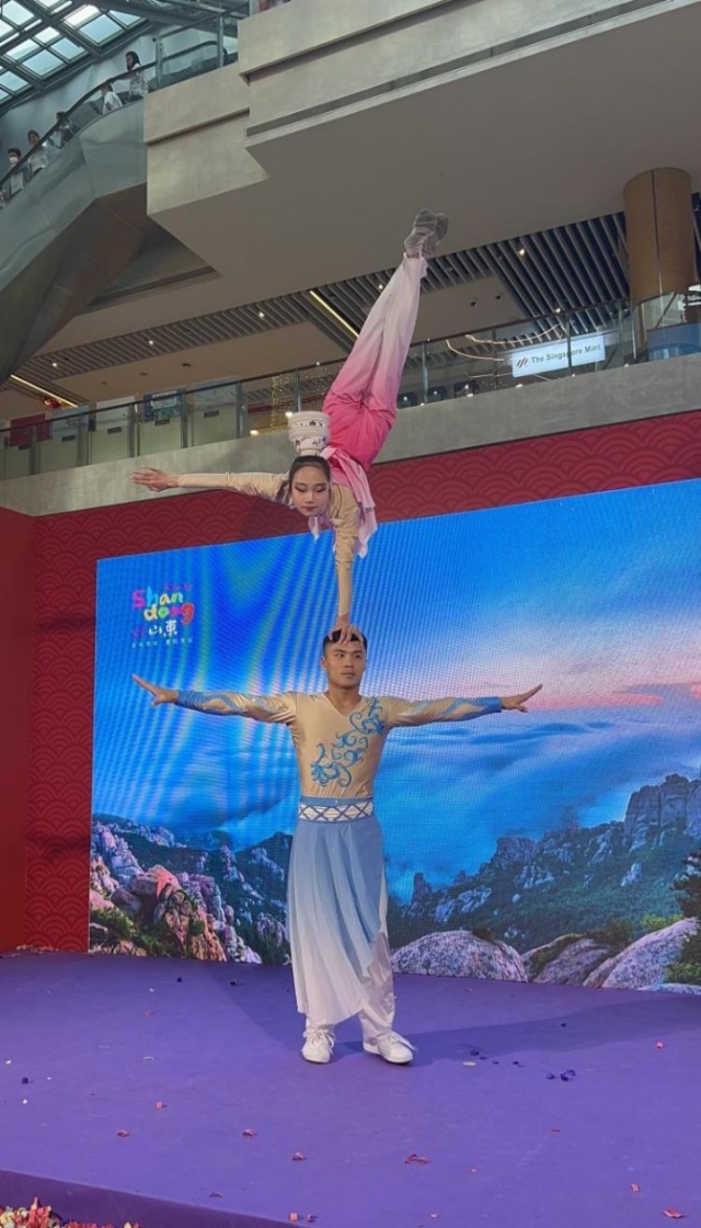 來(lái)自中國(guó)和新加坡的藝術(shù)團(tuán)體聯(lián)袂表演了歌舞、器樂(lè)、武術(shù)、雜技等多種形式的文藝節(jié)目?；顒?dòng)主辦方供圖