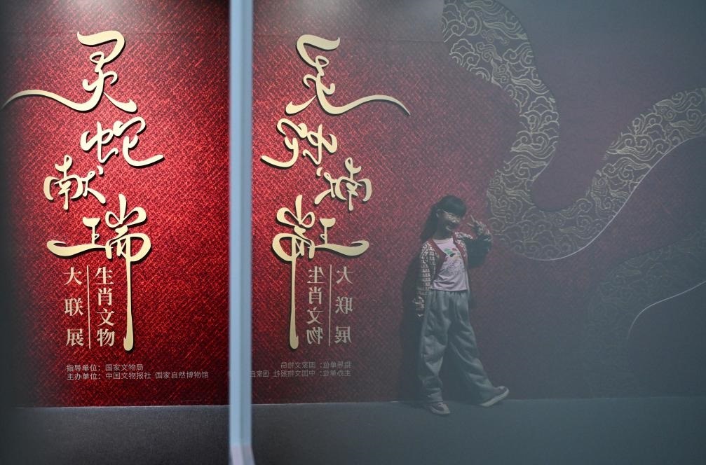 1月18日，一名小朋友在國家自然博物館舉辦的“靈蛇獻瑞——2025乙巳蛇年生肖文物大聯(lián)展”展覽中拍照留念。（新華社記者 陳鐘昊 攝）