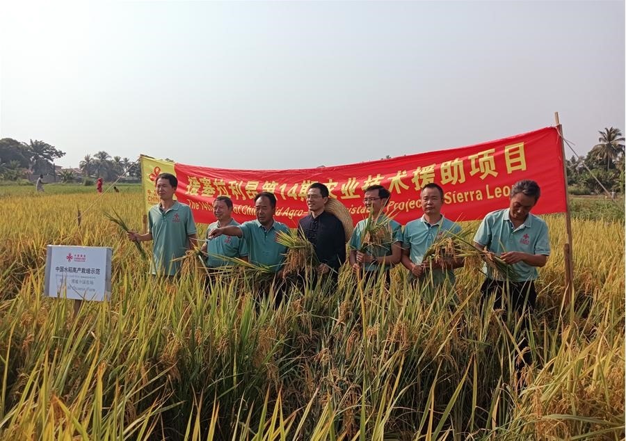 中國駐塞拉利昂大使王擎和援塞農(nóng)業(yè)專家組合影。中國援塞農(nóng)業(yè)專家組供圖