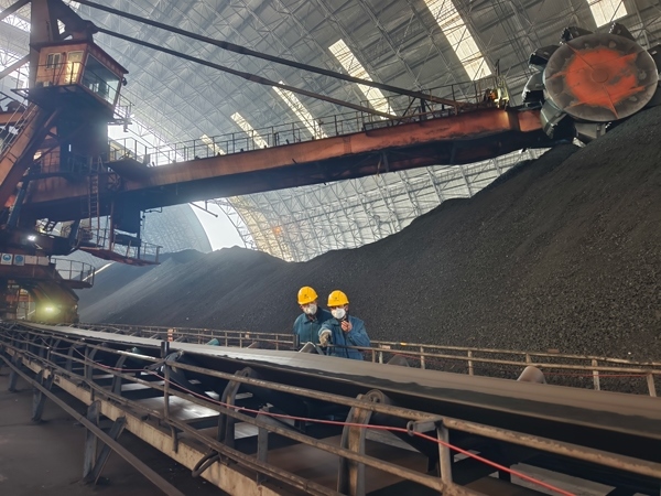 趙善國(guó)（右）和同事對(duì)電廠煤場(chǎng)進(jìn)行巡檢。受訪者供圖