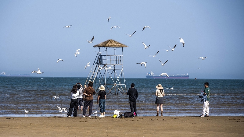 2024年5月12日，河北秦皇島，北戴河鴿子窩公園成群海鷗在天空中自由翱翔，與大海、藍(lán)天構(gòu)成了一幅美麗的畫(huà)卷。