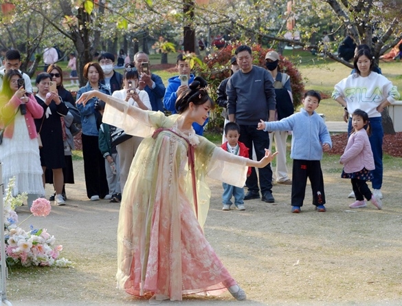 清明假期期間，上海顧村公園櫻花島上，游客在觀賞國風(fēng)漢服快閃表演。（圖片來源：視覺中國）