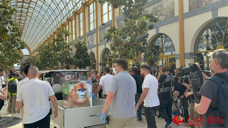 圖為活動現(xiàn)場。人民網(wǎng)記者 牛瑞飛攝